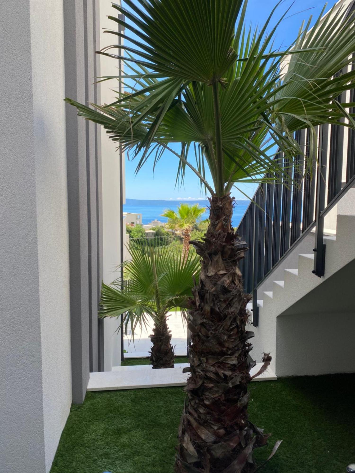 Villa 5 Makarska Exterior photo